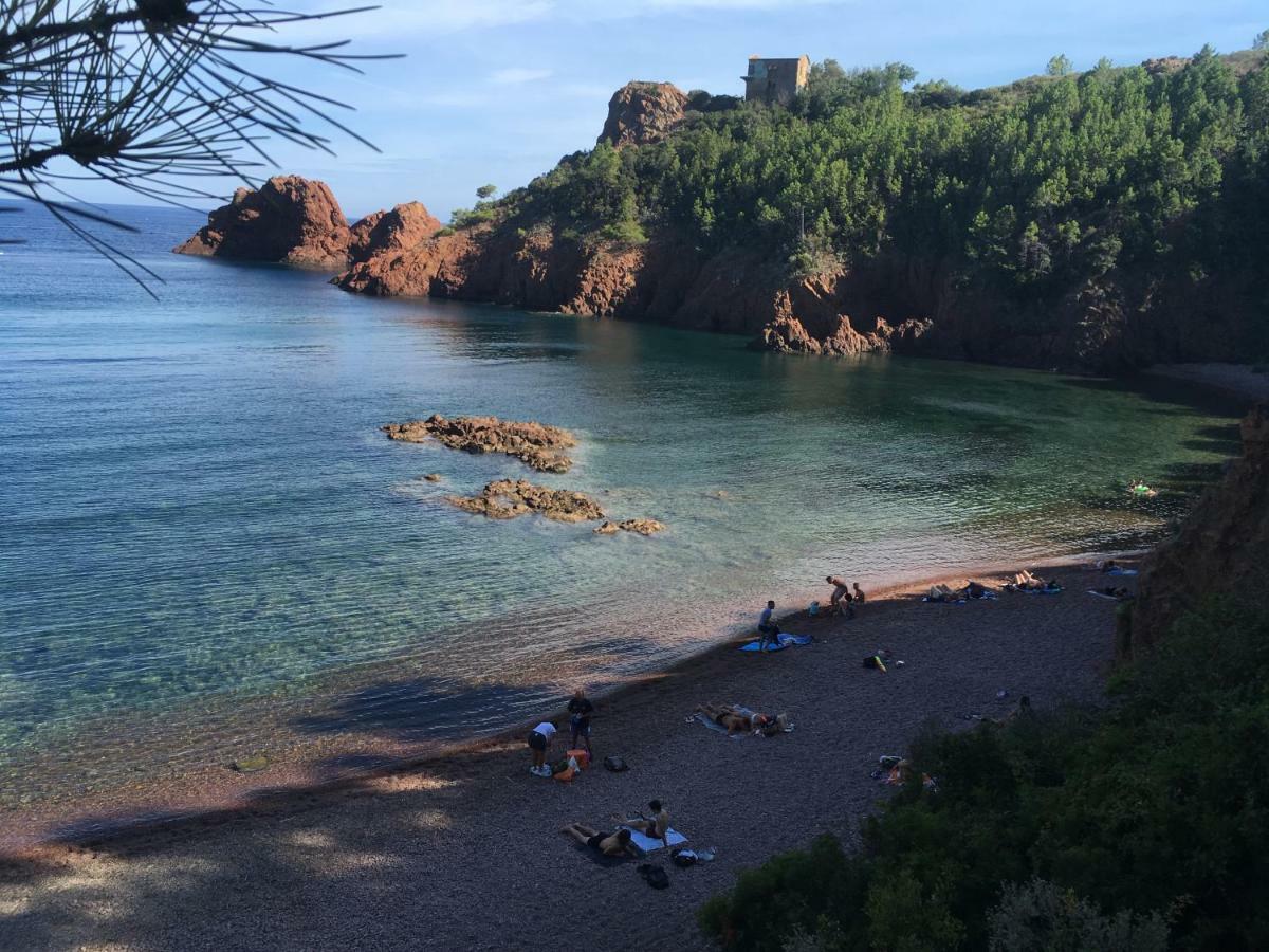 "Les Alizes" Cote Jardin Proche Bord De Mer Saint-Raphael  Exterior photo