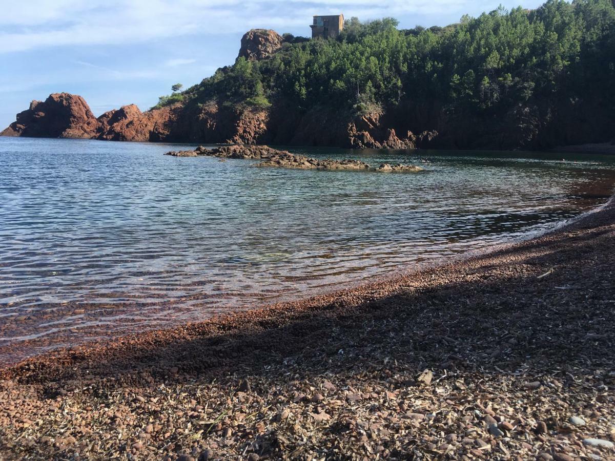 "Les Alizes" Cote Jardin Proche Bord De Mer Saint-Raphael  Exterior photo